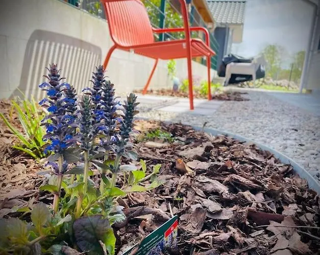 بيت للعطل Urlaub Am Grossen Zechliner